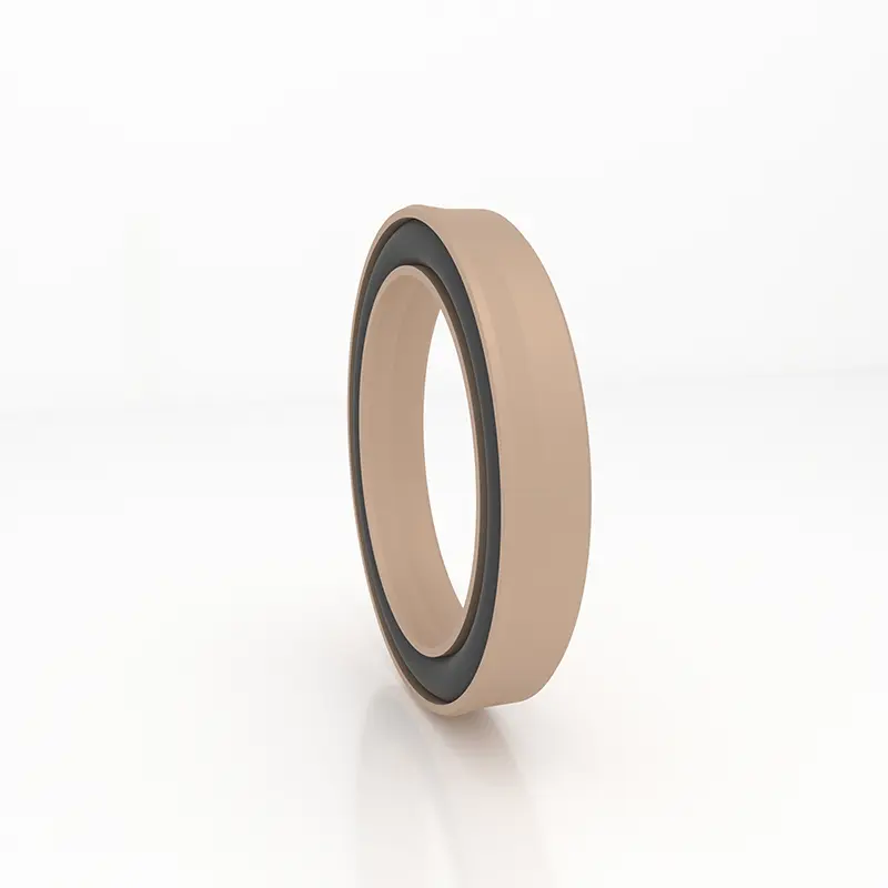 High Pressure Seals For Piston Holes High Pressure Seals For Piston Holes