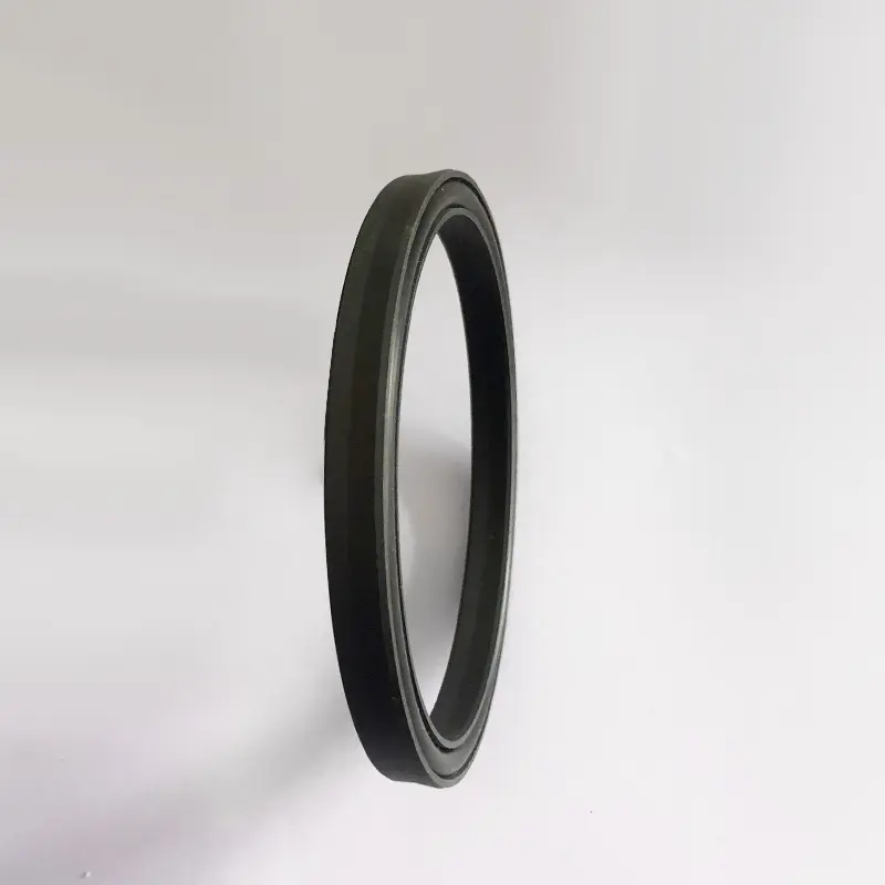 High Pressure Seals For Piston Holes High Pressure Seals For Piston Holes