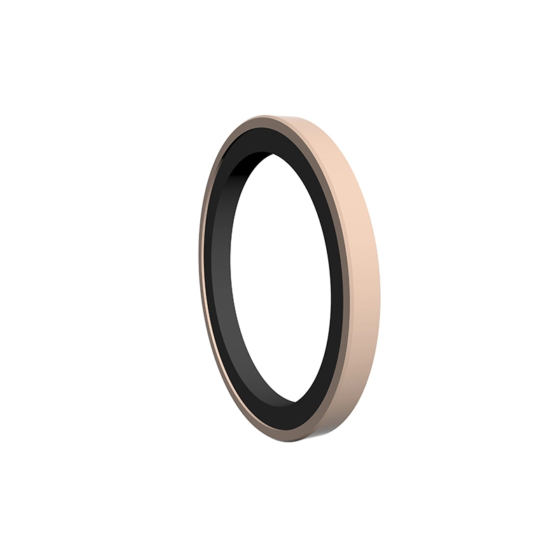 Hydraulic Seals For Piston Holes Hydraulic Seals For Piston Holes