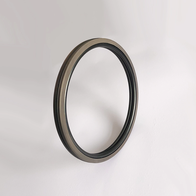 Hydraulic Seals For Piston Holes Hydraulic Seals For Piston Holes