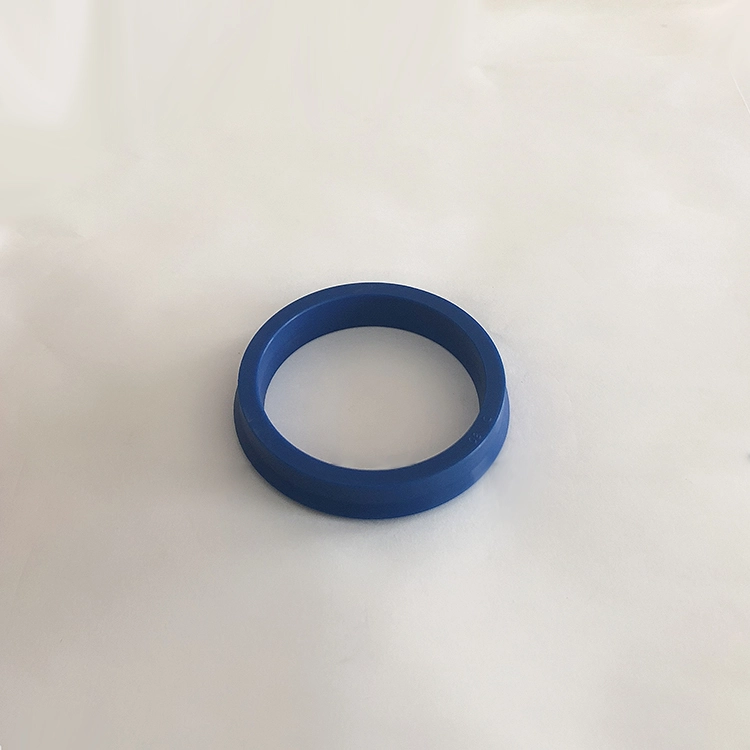 Hydraulic Seals For Piston Holes Hydraulic Seals For Piston Holes