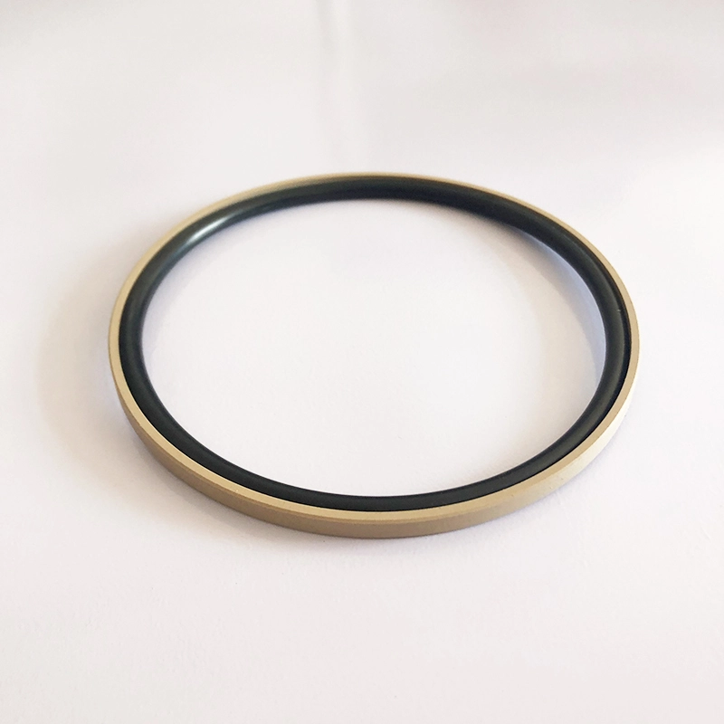 Hydraulic Seals For Piston Holes Hydraulic Seals For Piston Holes