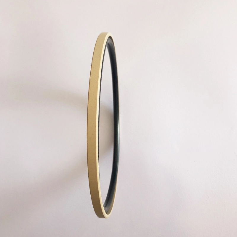 Hydraulic Seals For Piston Holes Hydraulic Seals For Piston Holes